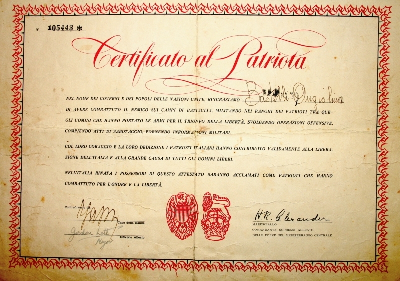 Diploma Alexander di Angela Bastelli